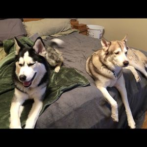 Meet your Posher, Leah